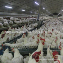 Equipo automático de aves para la casa del criador